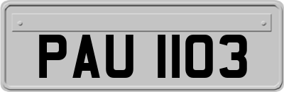 PAU1103