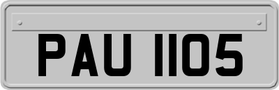 PAU1105