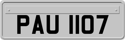 PAU1107