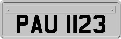 PAU1123