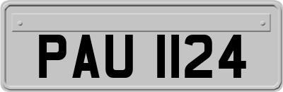 PAU1124
