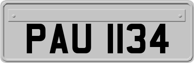 PAU1134