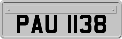 PAU1138