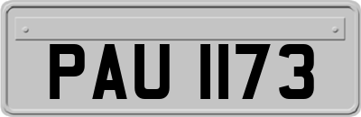PAU1173