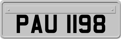 PAU1198