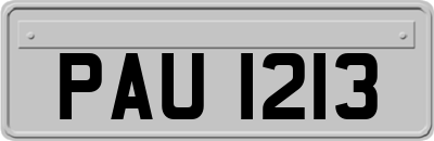 PAU1213
