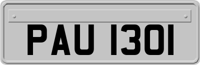 PAU1301