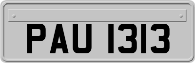 PAU1313
