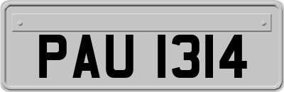 PAU1314
