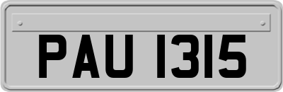 PAU1315