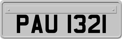 PAU1321