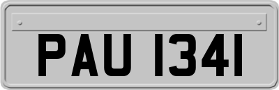 PAU1341