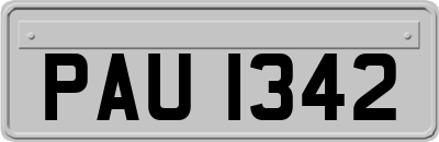 PAU1342