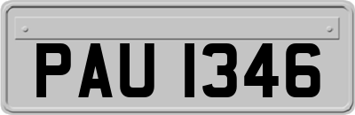 PAU1346