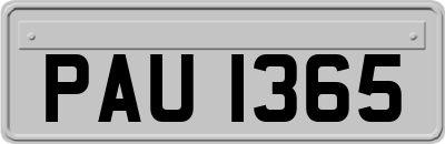 PAU1365