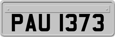 PAU1373
