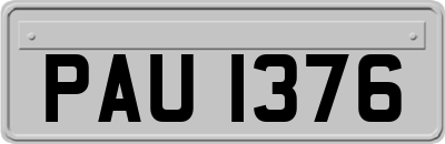 PAU1376