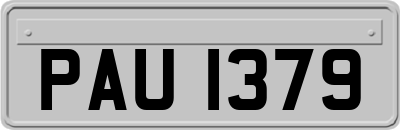 PAU1379