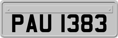 PAU1383