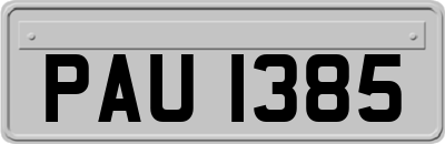 PAU1385