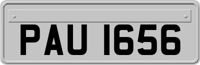 PAU1656