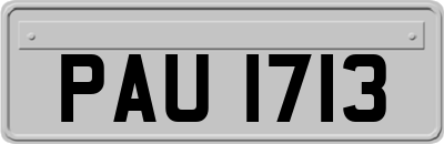 PAU1713