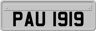 PAU1919