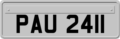 PAU2411