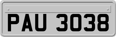PAU3038