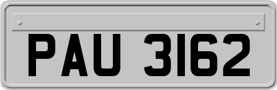 PAU3162