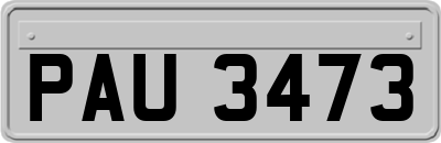PAU3473