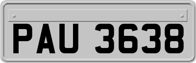 PAU3638