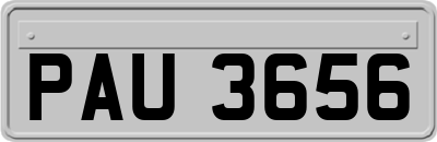 PAU3656