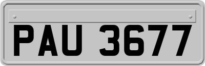 PAU3677