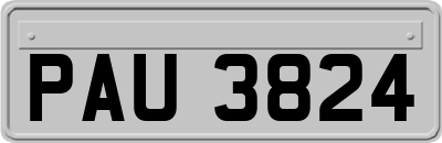 PAU3824