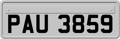 PAU3859