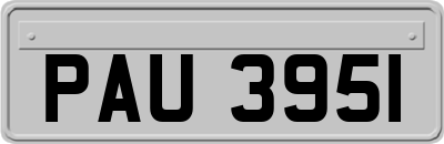 PAU3951