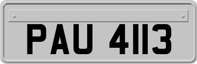 PAU4113