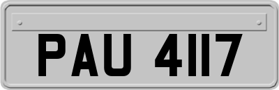 PAU4117