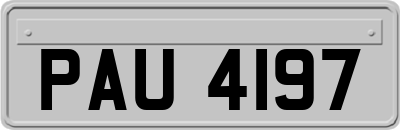 PAU4197
