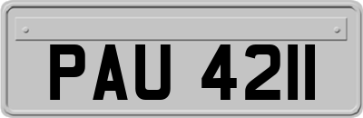 PAU4211