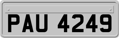 PAU4249
