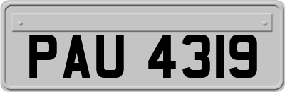 PAU4319