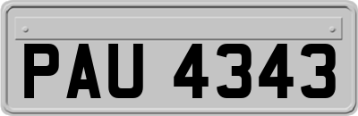 PAU4343