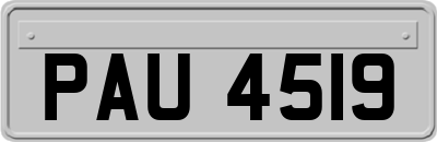 PAU4519