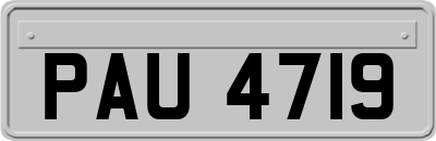 PAU4719