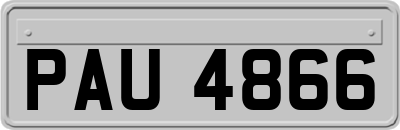PAU4866
