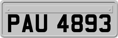 PAU4893