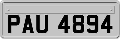 PAU4894