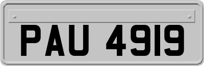 PAU4919